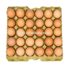HighPoint proveedores de cartón de huevos de bandejas de huevos para la venta